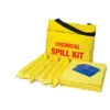 Paint Spill Kit in vinyl bag